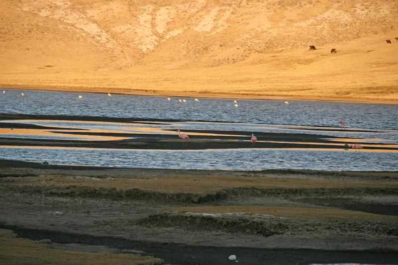 Peru 0902